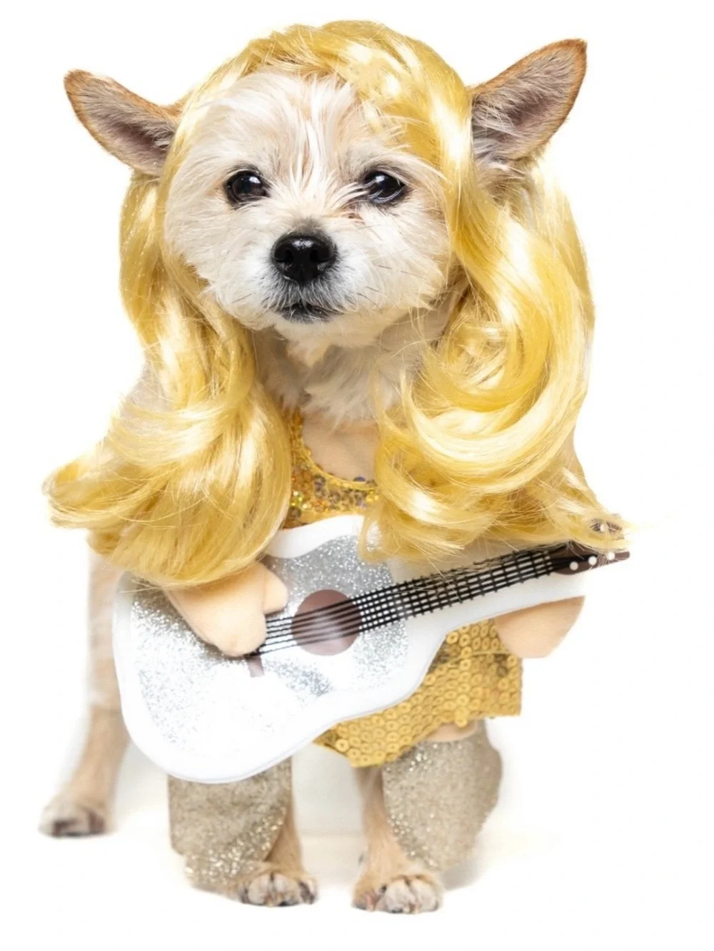 Dog Vibrant Life Rock Star Costume Size Large
